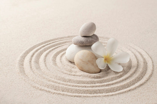 Embark on the Journey of Mindfulness